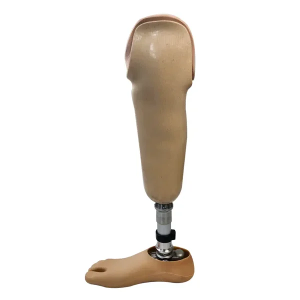 Factory Supplier Artificial Limbs