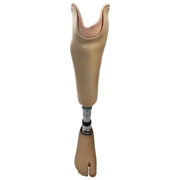 Factory Supplier Artificial Limbs - Image 2