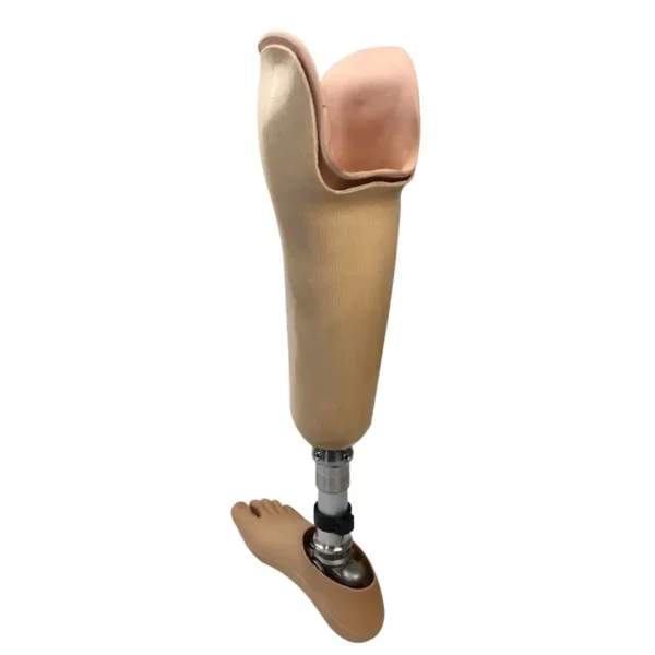 Factory Supplier Artificial Limbs - Image 3